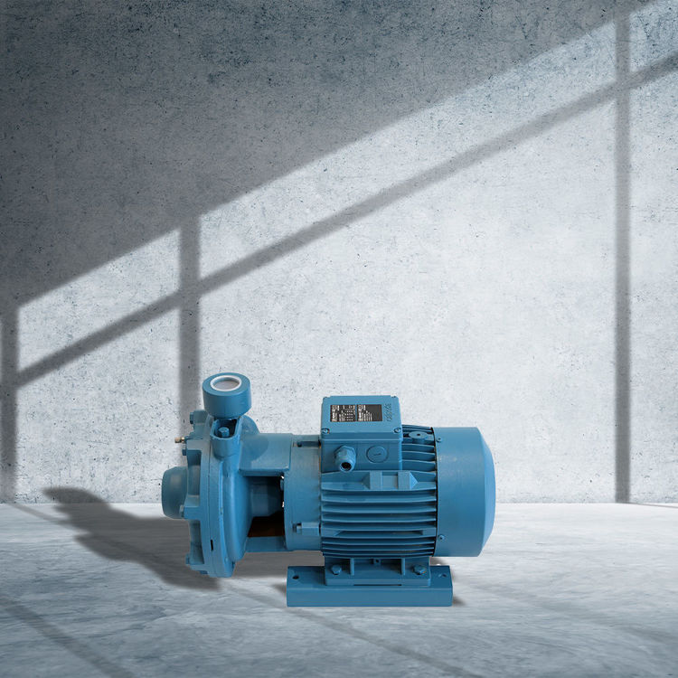 Picture of Calpeda NMD 40/180C/A Centrifugal Pump