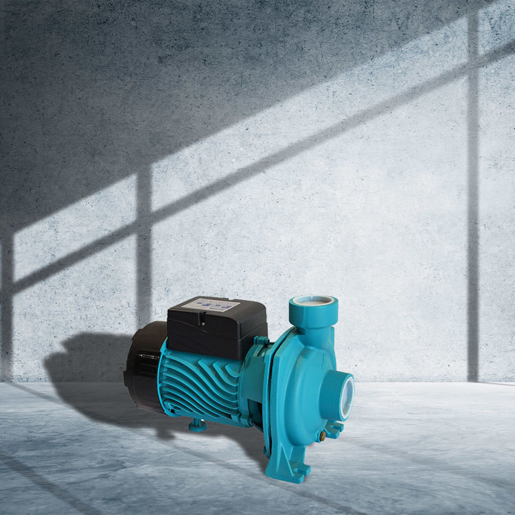 Picture of Wilson WCPC-100 Centrifugal Pump