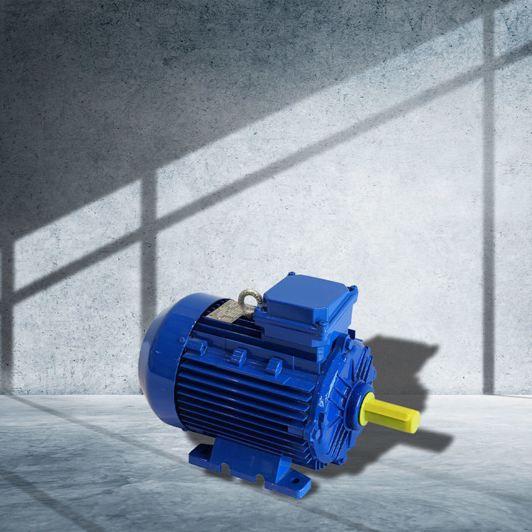 Picture of Vemat VT1-112MA2 2 Pole Electric Motor