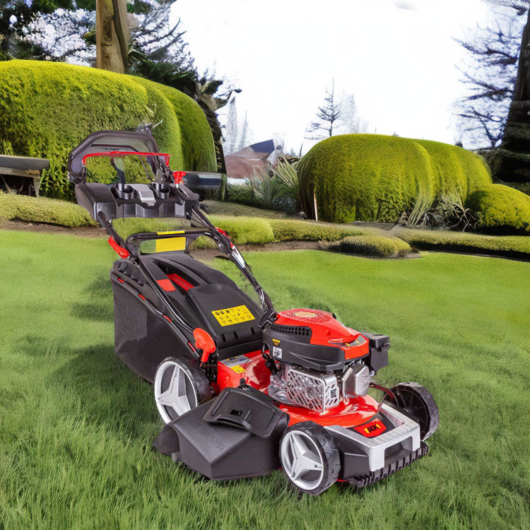 Picture of Warrior WR65831ABK Lawn Mower