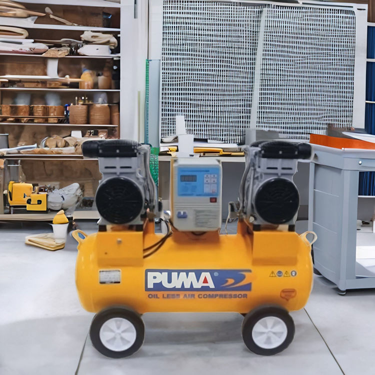 Picture of Puma WE160A-2 Direct Oil-less Electric Air Compressor