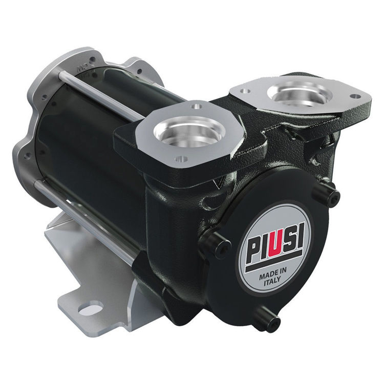 Picture of Piusi BP3000 Self Priming Battery Operated Vane Diesel Pump