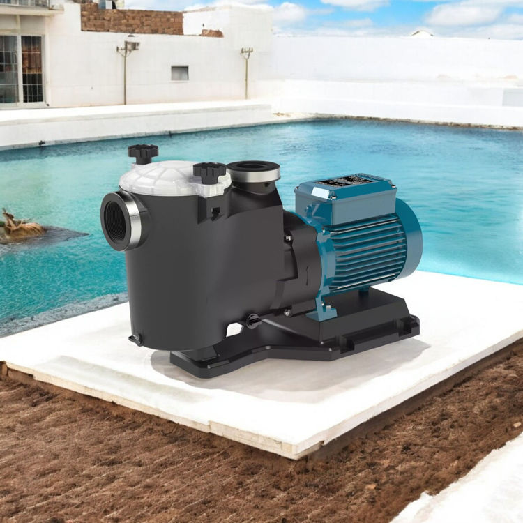 Picture of Calpeda MPCM 61 Swimming Pool Pump