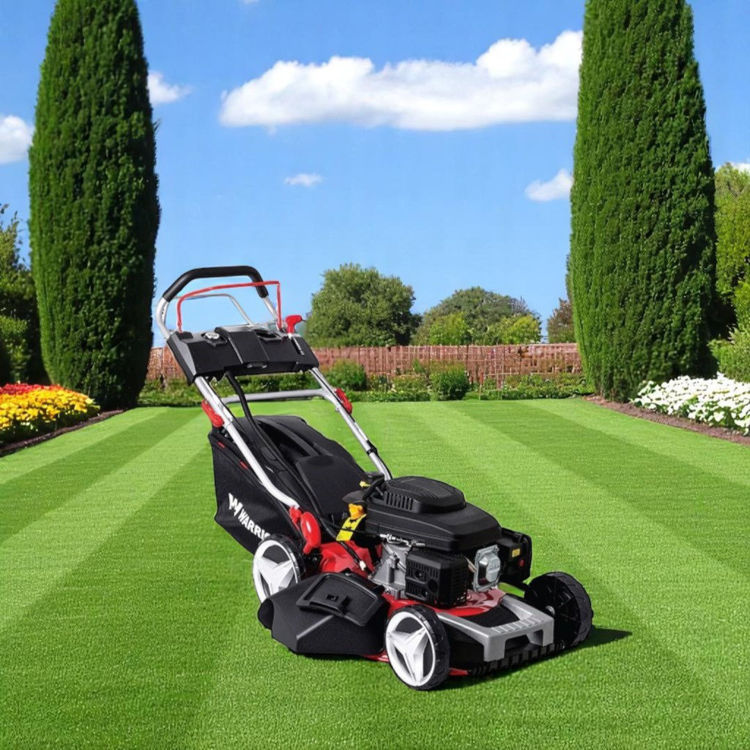 Picture of Warrior WR65831ABK Lawn Mower
