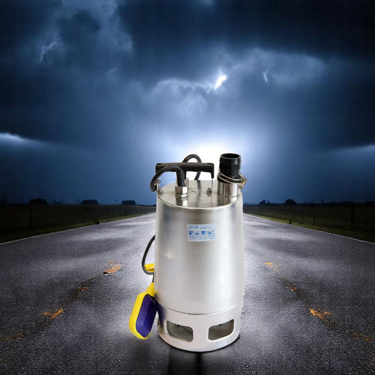 Picture of Wilson WSPD-1.5DR Submersible Drainage Pump