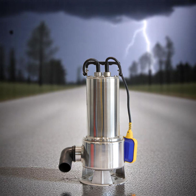 Picture of Wilson WSPS-2VOR Submersible Pump