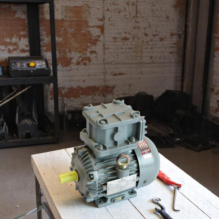 Picture of Crompton Greaves EMEEX0.75 4 Pole Flame Proof Electric Motor