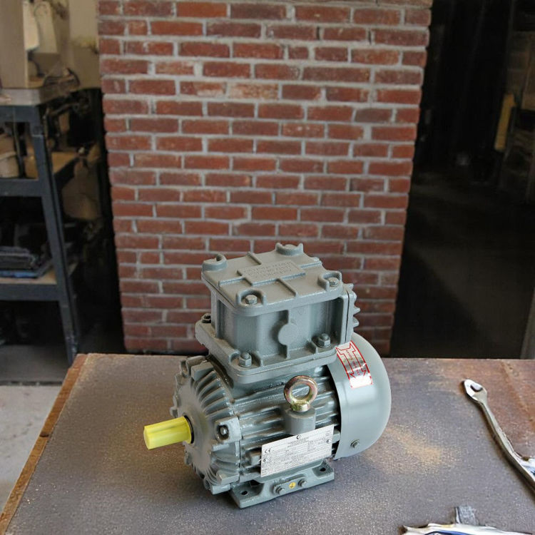 Picture of Crompton Greaves EMEEX1.5 4 Pole Flame Proof Electric Motor