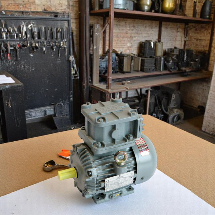 Picture of Crompton Greaves EMEEX3 4 Pole Flame Proof Electric Motor