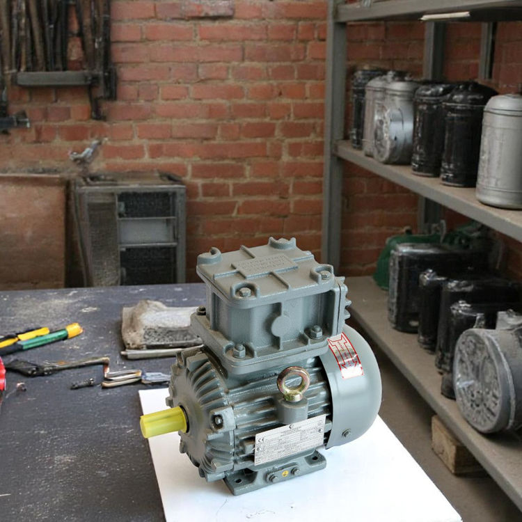 Picture of Crompton Greaves EMEEX0.5 4 Pole Flame Proof Electric Motor