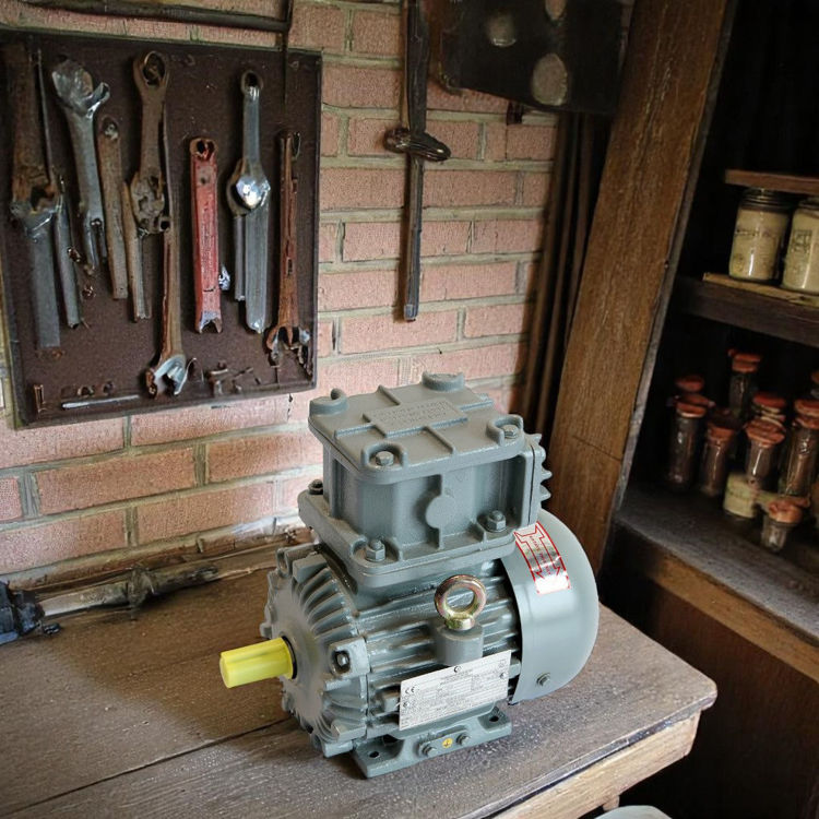 Picture of Crompton Greaves EMEEX5.5 4 Pole Flame Proof Electric Motor