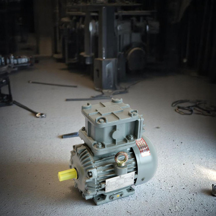 Picture of Crompton Greaves EMEEX7.5 4 Pole Flame Proof Electric Motor