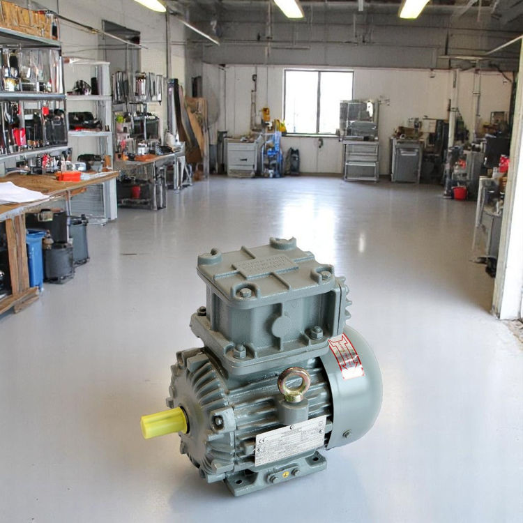 Picture of Crompton Greaves EMEEX10 4 Pole Flame Proof Electric Motor