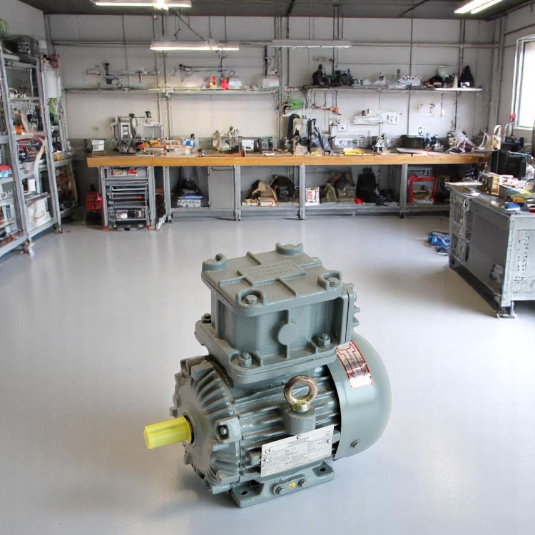 Picture of Crompton Greaves EMEEX10 6 Pole Flame Proof Electric Motor