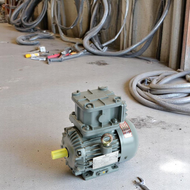 Picture of Crompton Greaves EMEEX10 8 Pole Flame Proof Electric Motor