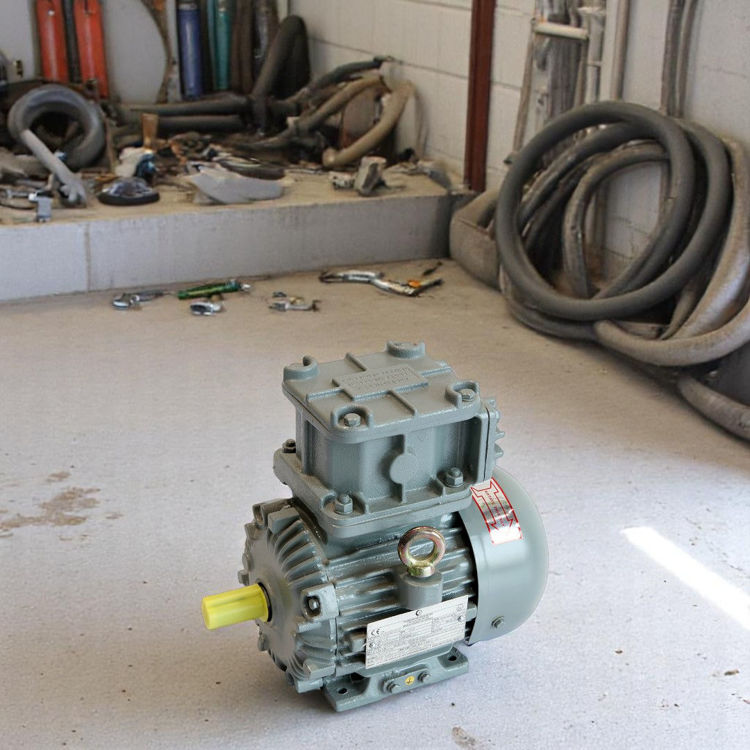 Picture of Crompton Greaves EMEEX15 4 Pole Flame Proof Electric Motor