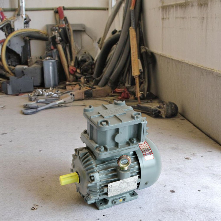 Picture of Crompton Greaves EMEEX0.75 6 Pole Flame Proof Electric Motor
