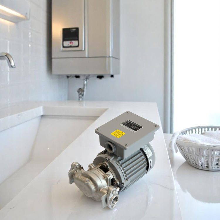 Picture of Kawamoto PSS2-205-0.1S2 Hot Water Circulation Pump